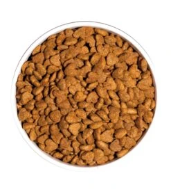 Pienso Para Gatos Classic Light -Productos Para Gatos ow classic light cat platoadl 6389ee8aac24a