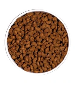 Pienso Para Gatos Classic Sterilized -Productos Para Gatos ow classic sterilized platoadl 6389edb0603bc