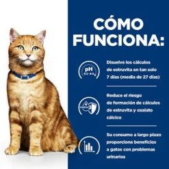 Hill's C/d Prescription Diet Multicare Urinary Care Sobres Para Gatos -Productos Para Gatos pd cd multicare cat bk20177 bk25948m bk26382m bk27563m bk28017 how works es 1