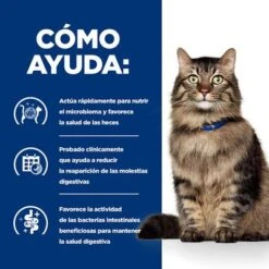 Hill's Gastrointestinal Biome Prescription Diet Estofado Para Gatos -Productos Para Gatos pd gibiome cat bk32326m bk31171 how helps es 2