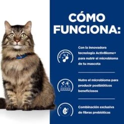 Hill's Gastrointestinal Biome Prescription Diet Estofado Para Gatos -Productos Para Gatos pd gibiome cat bk32326m bk31171 how works es 6