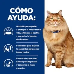Hill's K/d + Mobility Prescription Diet Bolsitas Para Gatos -Productos Para Gatos pd kd mobility cat bk24069m bk27533m how helps es 4