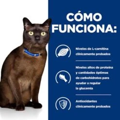 Hill's M/d Prescription Diet Latas Comida Húmeda Para Gatos -Productos Para Gatos pd md cat bk24619m bk28760 how works es 5