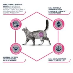 Advance Cat Urinary Stress 15 Advance Cat Urinary Stress -Productos Para Gatos pienso gato urinary stress advance 6273c78ba6a5d