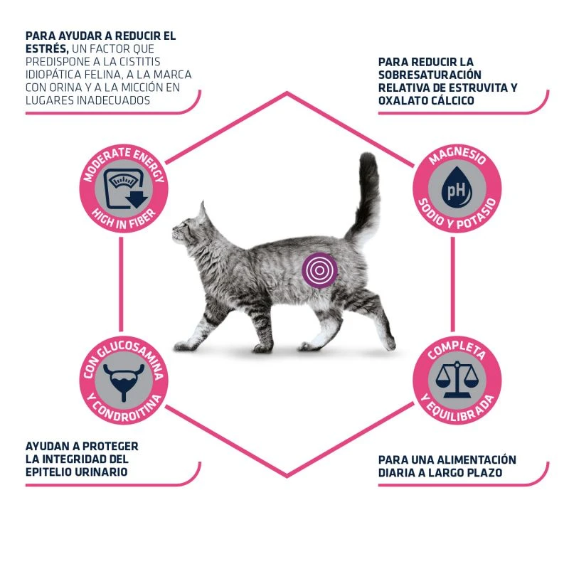Advance Cat Urinary Stress 4 Advance Cat Urinary Stress - Imagen 4
