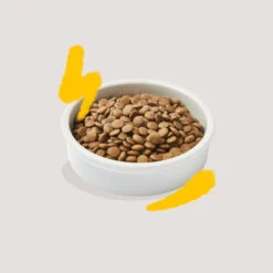 Edgard & Cooper Adult Pavo Y Pollo Pienso Para Gatos -Productos Para Gatos pienso gato edgard cooper pavo pollo adult EDG0377 2