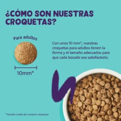 Edgard & Cooper Adult Pollo Pienso Para Gatos -Productos Para Gatos pienso gato edgard cooper pollo adult EDG0353 6