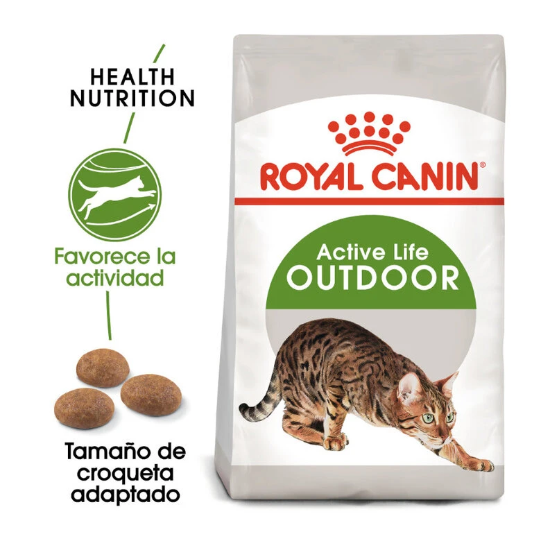 Royal Canin Active Life Outdoor Pienso Para Gatos 1 Royal Canin Active Life Outdoor Pienso Para Gatos