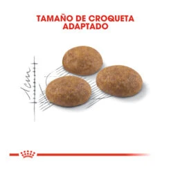 Royal Canin Active Life Outdoor Pienso Para Gatos 9 Royal Canin Active Life Outdoor Pienso Para Gatos -Productos Para Gatos pienso gatos royal20canin active20life outdoor ROY315631 M 3