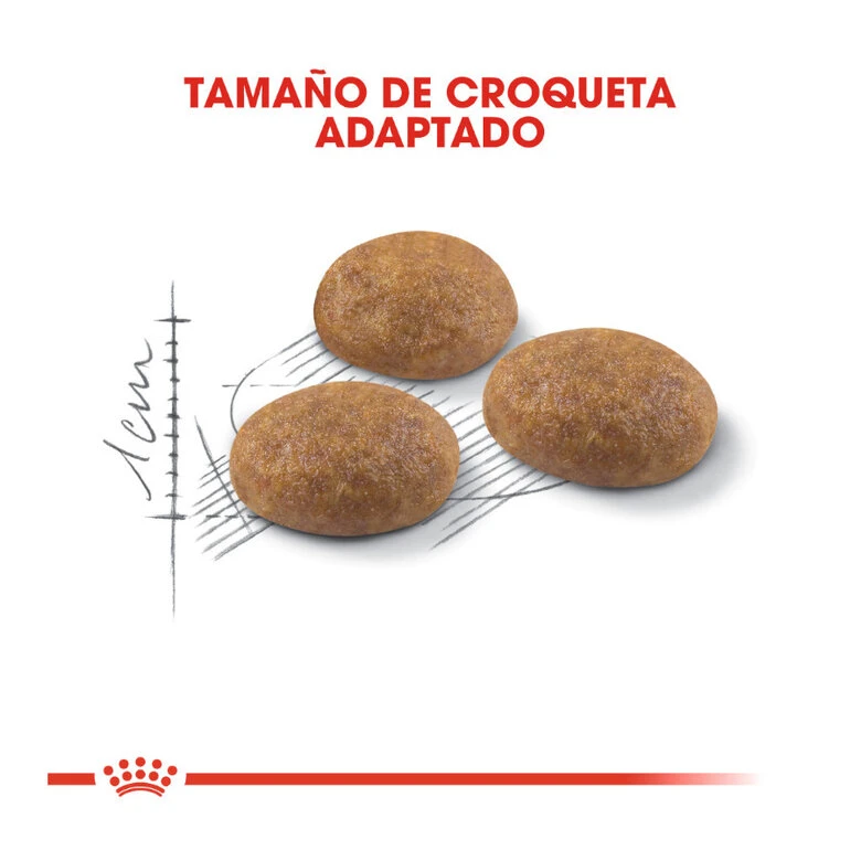 Royal Canin Active Life Outdoor Pienso Para Gatos 3 Royal Canin Active Life Outdoor Pienso Para Gatos - Imagen 3