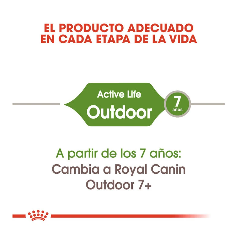 Royal Canin Active Life Outdoor Pienso Para Gatos 4 Royal Canin Active Life Outdoor Pienso Para Gatos - Imagen 4