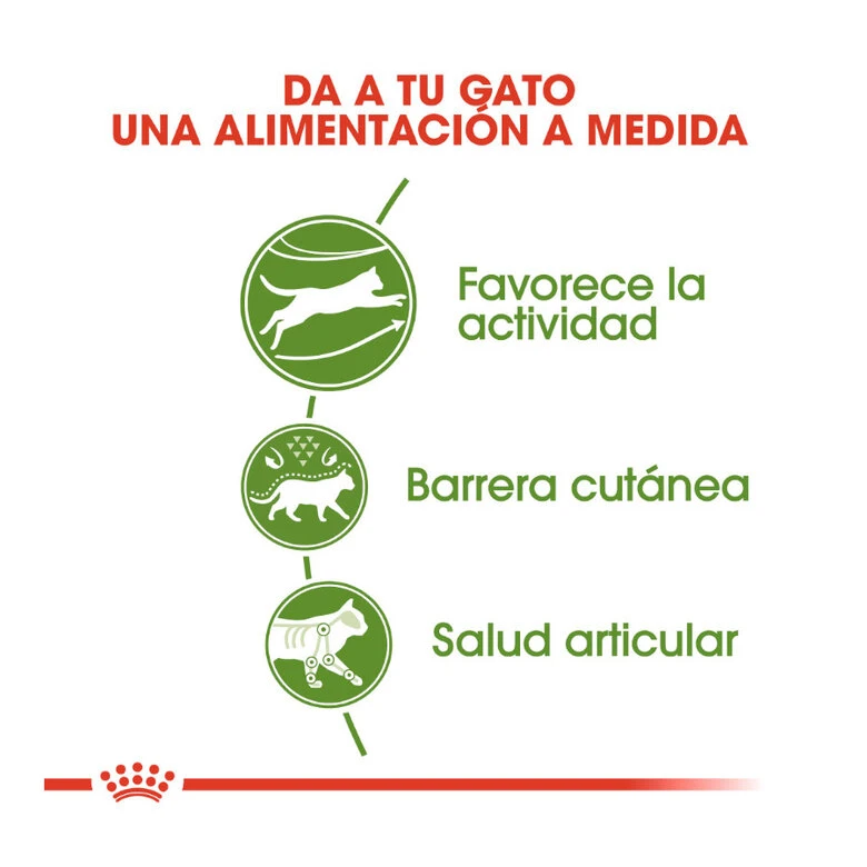 Royal Canin Active Life Outdoor Pienso Para Gatos 5 Royal Canin Active Life Outdoor Pienso Para Gatos - Imagen 5