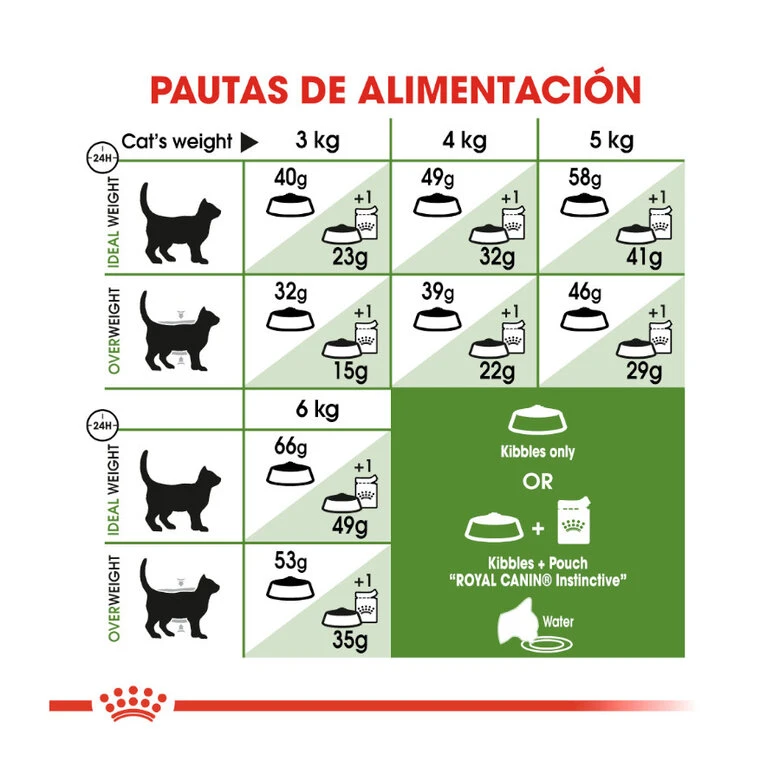 Royal Canin Active Life Outdoor Pienso Para Gatos 7 Royal Canin Active Life Outdoor Pienso Para Gatos - Imagen 7