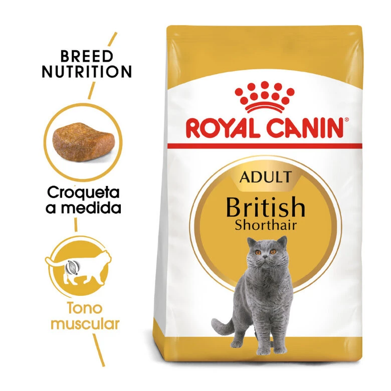 Royal Canin Adult British Shorthair Pienso Para Gatos 1 Royal Canin Adult British Shorthair Pienso Para Gatos