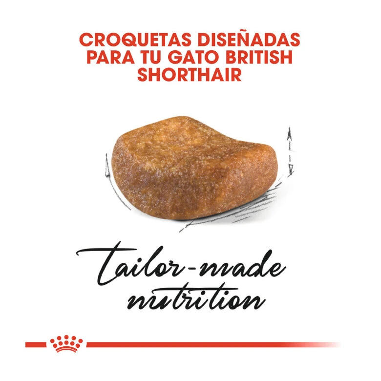Royal Canin Adult British Shorthair Pienso Para Gatos 4 Royal Canin Adult British Shorthair Pienso Para Gatos - Imagen 4