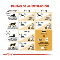 Royal Canin Adult British Shorthair Pienso Para Gatos 13 Royal Canin Adult British Shorthair Pienso Para Gatos -Productos Para Gatos pienso gatos royal20canin british20shorthair ROY309560 M 8