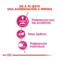 Royal Canin Adult Exigent Protein Pienso Para Gatos -Productos Para Gatos pienso gatos royal20canin exigent protein ROY317628 M 4