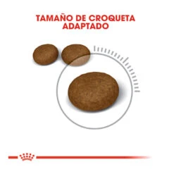 Royal Canin Hair&Skin Pienso Para Gatos 12 Royal Canin Hair&Skin Pienso Para Gatos -Productos Para Gatos pienso gatos royal20canin hair2020skin ROY307161 M 5