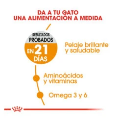 Royal Canin Hair&Skin Pienso Para Gatos 13 Royal Canin Hair&Skin Pienso Para Gatos -Productos Para Gatos pienso gatos royal20canin hair2020skin ROY307161 M 6