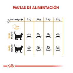 Royal Canin Hair&Skin Pienso Para Gatos 15 Royal Canin Hair&Skin Pienso Para Gatos -Productos Para Gatos pienso gatos royal20canin hair2020skin ROY307161 M 8