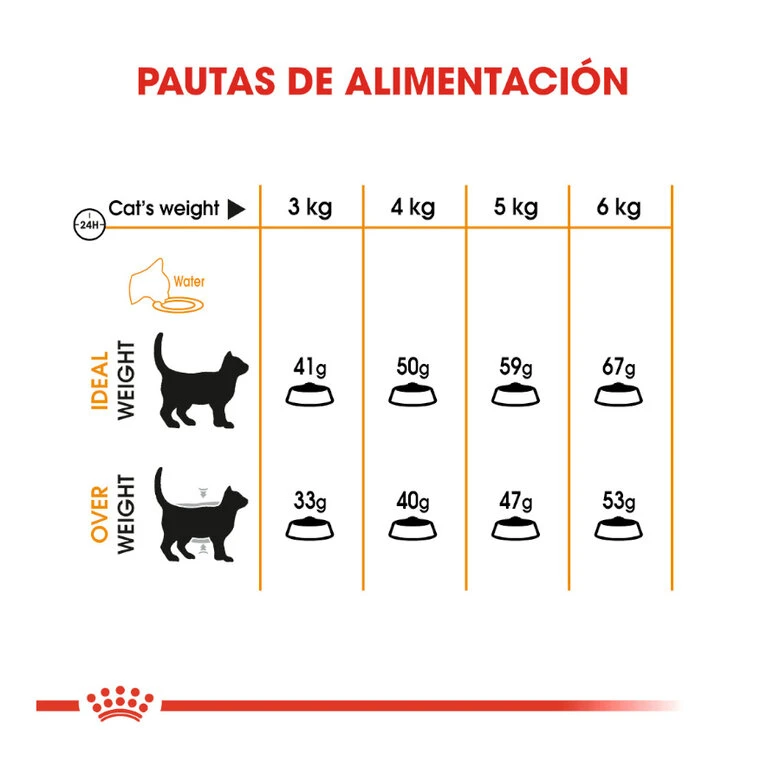 Royal Canin Hair&Skin Pienso Para Gatos 8 Royal Canin Hair&Skin Pienso Para Gatos - Imagen 8