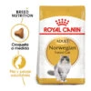 Royal Canin Adult Norwegian Forest Pienso Para Gatos
