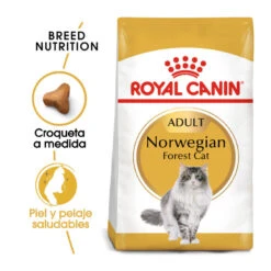 Royal Canin Adult Norwegian Forest Pienso Para Gatos