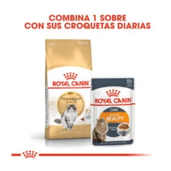 Royal Canin Adult Norwegian Forest Pienso Para Gatos -Productos Para Gatos pienso gatos royal20canin norwegian20forest20cat ROY309760 M 3