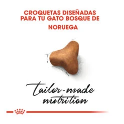 Royal Canin Adult Norwegian Forest Pienso Para Gatos -Productos Para Gatos pienso gatos royal20canin norwegian20forest20cat ROY309760 M 5