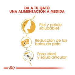 Royal Canin Adult Norwegian Forest Pienso Para Gatos -Productos Para Gatos pienso gatos royal20canin norwegian20forest20cat ROY309760 M 6