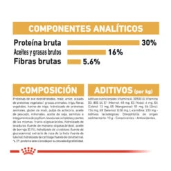 Royal Canin Adult Norwegian Forest Pienso Para Gatos -Productos Para Gatos pienso gatos royal20canin norwegian20forest20cat ROY309760 M 7