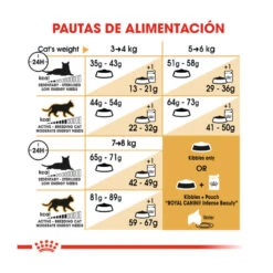 Royal Canin Adult Norwegian Forest Pienso Para Gatos -Productos Para Gatos pienso gatos royal20canin norwegian20forest20cat ROY309760 M 8