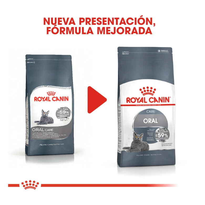 Royal Canin Adult Oral Pienso Para Gatos 3 Royal Canin Adult Oral Pienso Para Gatos - Imagen 3