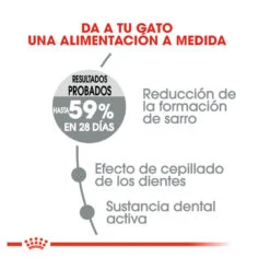 Royal Canin Adult Oral Pienso Para Gatos 11 Royal Canin Adult Oral Pienso Para Gatos -Productos Para Gatos pienso gatos royal20canin oral20care ROY317453 M 5