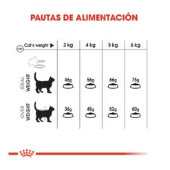 Royal Canin Adult Oral Pienso Para Gatos 13 Royal Canin Adult Oral Pienso Para Gatos -Productos Para Gatos pienso gatos royal20canin oral20care ROY317453 M 7