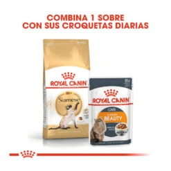 Royal Canin Adult Siamese Pienso Para Gatos -Productos Para Gatos pienso gatos royal20canin siamese adult ROY309161 M 3