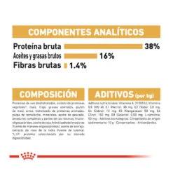 Royal Canin Adult Siamese Pienso Para Gatos -Productos Para Gatos pienso gatos royal20canin siamese adult ROY309161 M 7