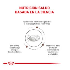 Royal Canin Veterinary Gastrointestinal Hairball Pienso Para Gatos -Productos Para Gatos pienso gatos royal canin feline skin hairball ROY46451 M 3