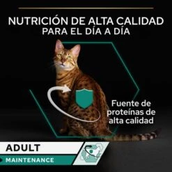 PURINA PRO PLAN Cat Adult Maintenance 24 X 85 G En Latas -Productos Para Gatos puprpnwcadvmanocach23fnb1cles 4