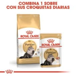 Royal Canin Breed Persian -Productos Para Gatos rc fbn wet persian cv eretailkit 4 es es 0