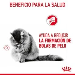 Royal Canin Hairball Care En Salsa -Productos Para Gatos rc fcn hairballpouchgravy 6 es es 4