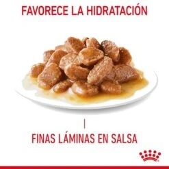 Royal Canin Hairball Care En Salsa -Productos Para Gatos rc fcn hairballpouchgravy 7 es es 3