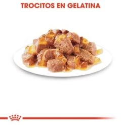 Royal Canin Instinctive En Gelatina -Productos Para Gatos rc fhn 2 9