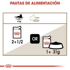 Royal Canin Ageing +12 En Salsa -Productos Para Gatos rc fhn wet ageing12gravy cv eretailkit 4 es es 8