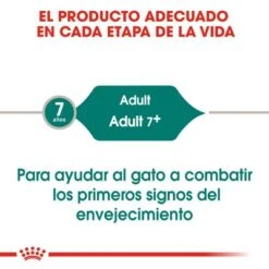 Royal Canin Instinctive +7 En Salsa -Productos Para Gatos rc fhn wet instinctive7gravy cv eretailkit 1 es es 2