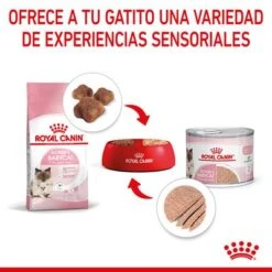 Royal Canin Mother & Babycat Ultra Soft Mousse -Productos Para Gatos rc spt wet babycat can cv 4 es es 4