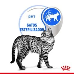 Royal Canin Indoor Sterilised En Gelatina -Productos Para Gatos rc spt wet indsterjelly cv 2 es es 9