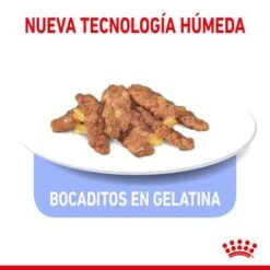 Royal Canin Indoor Sterilised En Gelatina -Productos Para Gatos rc spt wet indsterjelly cv 3 es es 9