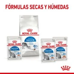Royal Canin Indoor Sterilised En Gelatina -Productos Para Gatos rc spt wet indsterjelly cv 4 es es 8