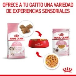 Royal Canin Kitten Instinctive En Gelatina -Productos Para Gatos rc spt wet kitten cij cv 4 es es 1 4